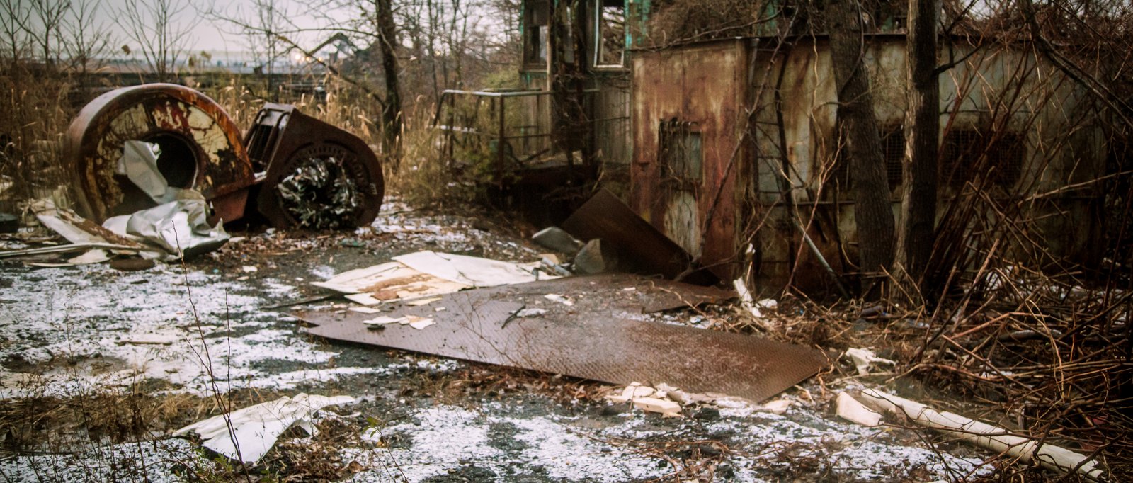 art-of-sandy-mo-staten island 2-124.jpg